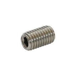 Socket Setscrews (Grub Screws) A2 Stainless Steel