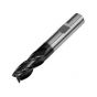 Europa HSSCo8 4 Flute End Mill Flatted Shank Tialn