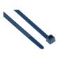Metal Detectable Non Releasable Cable Ties Blue