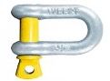 1.5T D Shackle
