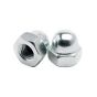 Dome Nuts Zinc Plated (Pack of 100)